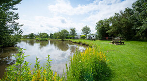 a body of water surrounded by trees