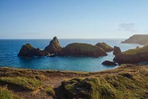 Lizard Point
